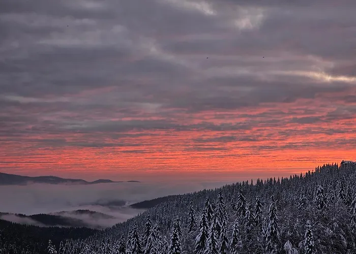 Viva 4-a-23 To The Door Complex Grand Monastery * Pamporovo